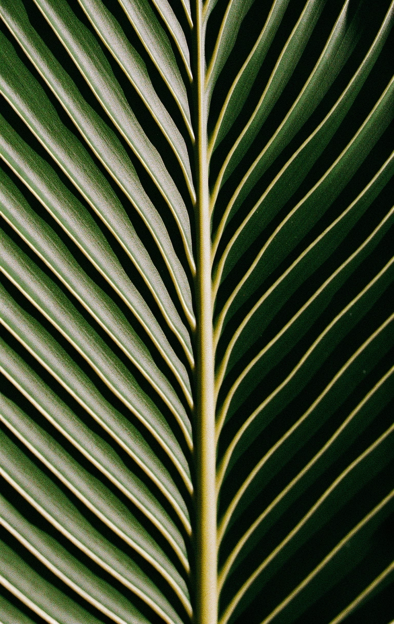 Botanical detail of a tropical leaf.